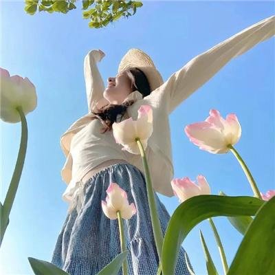 遥远的北方 海报